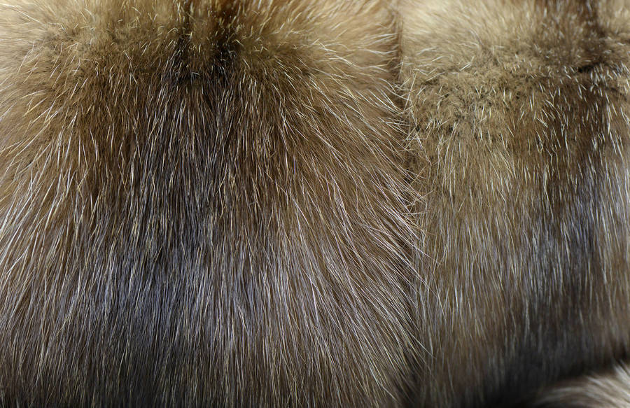 Индивидуальный пошив меховой жилетки из лисы от LEAshop 